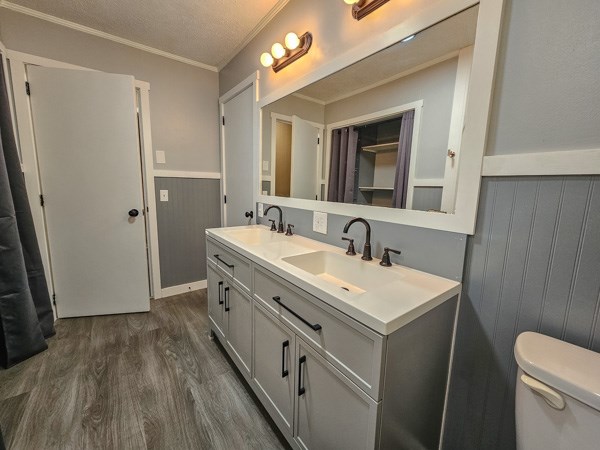 265 Tyler Road Ellijay, GA 30540 - Photo 15 of 43 a bathroom with a sink a toilet a mirror and vanity