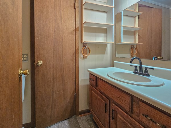 265 Tyler Road Ellijay, GA 30540 - Photo 8 of 43 a bathroom with a sink and a mirror