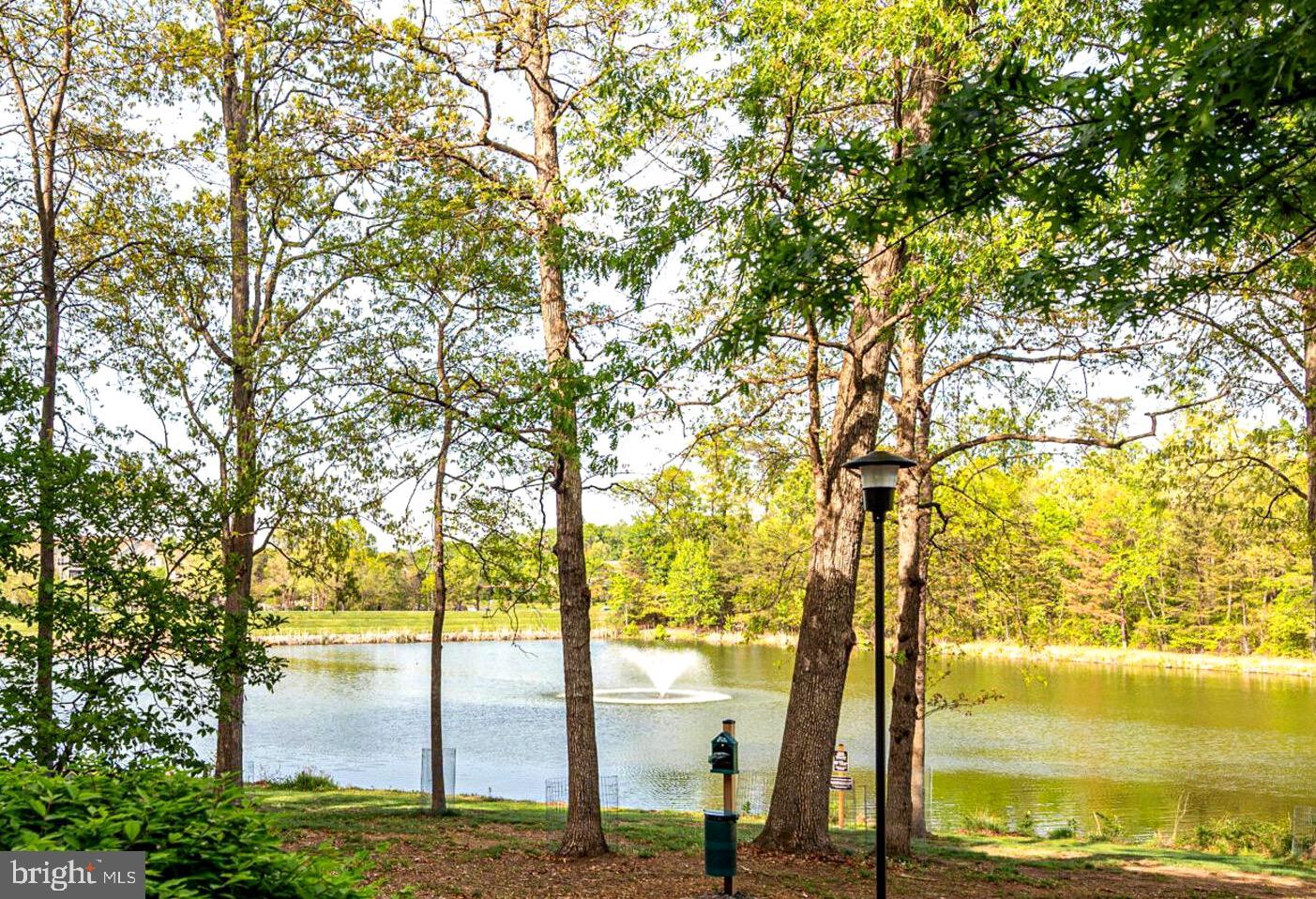 a view of lake from a tree