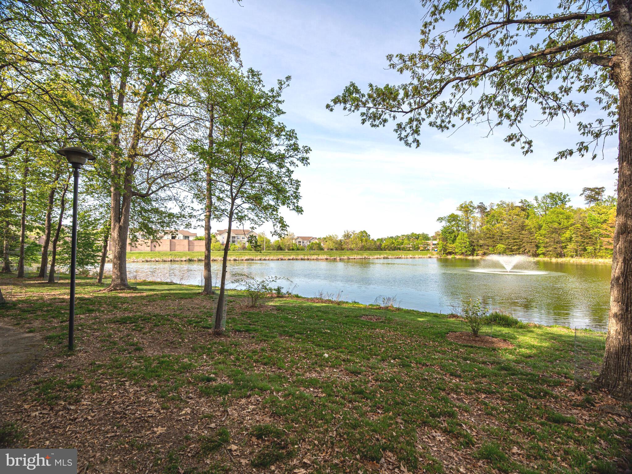 1720 Lake Shore Crest Drive, Unit 35 Reston, VA 20190 - Photo 3 of 41 a view of lake with green space