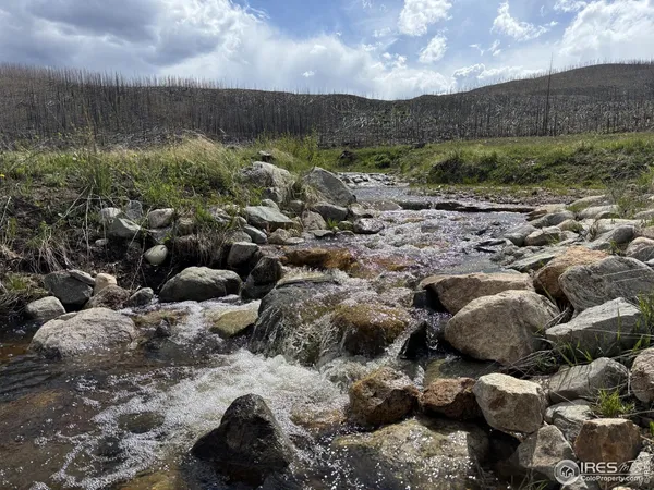 a view of a lake with green space