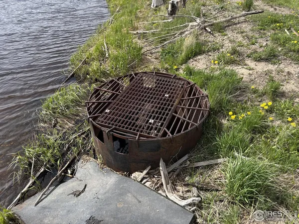 a view of a backyard with plants and brick wall