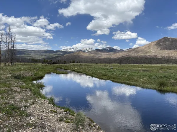 a view of a lake from a yard