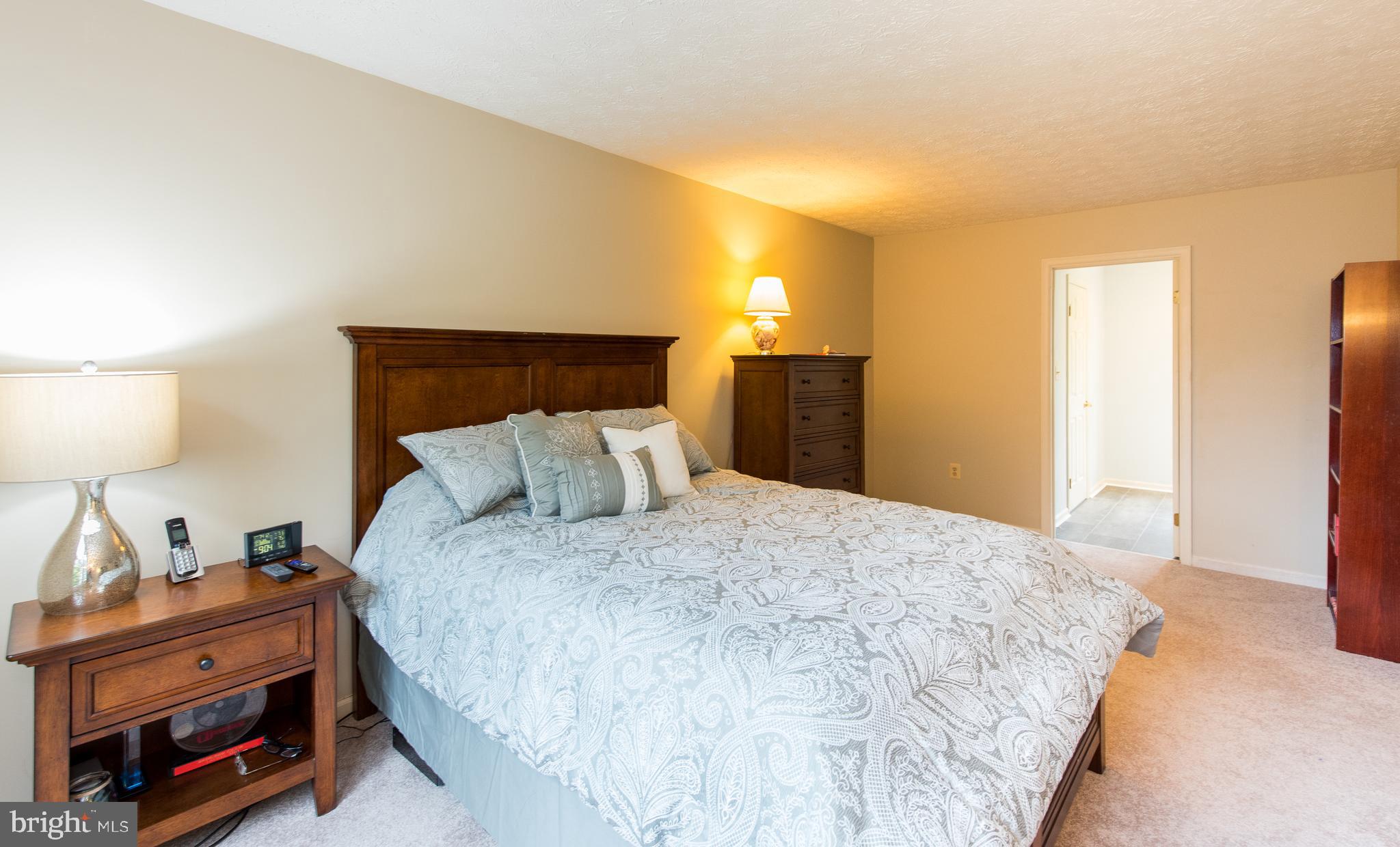 8315 Painted Rock Road Columbia, MD 21045 - Photo 24 of 39 Master Bedroom