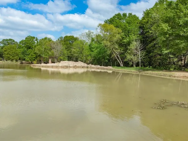 a view of a yard with trees
