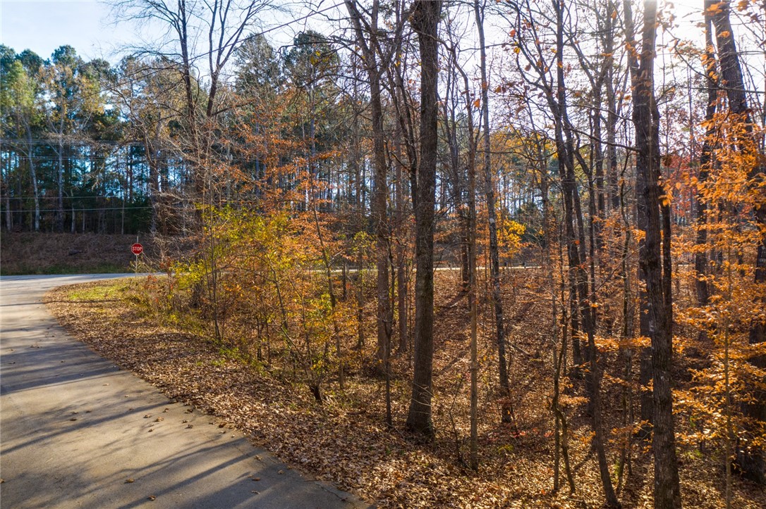0 Hebron Road Seneca, SC 29672 - Photo 2 of 17 Gallery Image 2