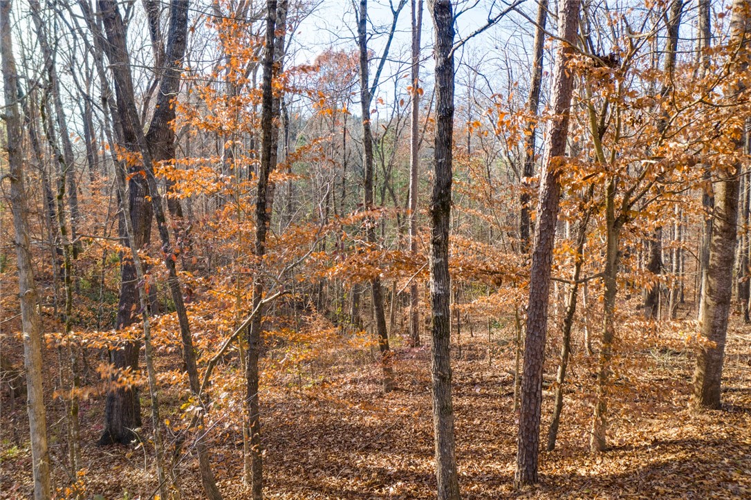 0 Hebron Road Seneca, SC 29672 - Photo 4 of 17 Gallery Image 4