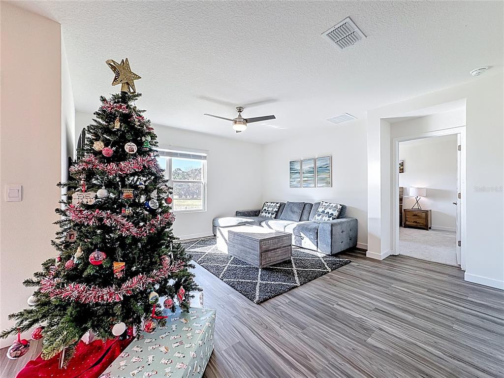 348 Talisi Loop St. Cloud, FL 34771 - Photo 12 of 35 a living room with furniture and a potted plant