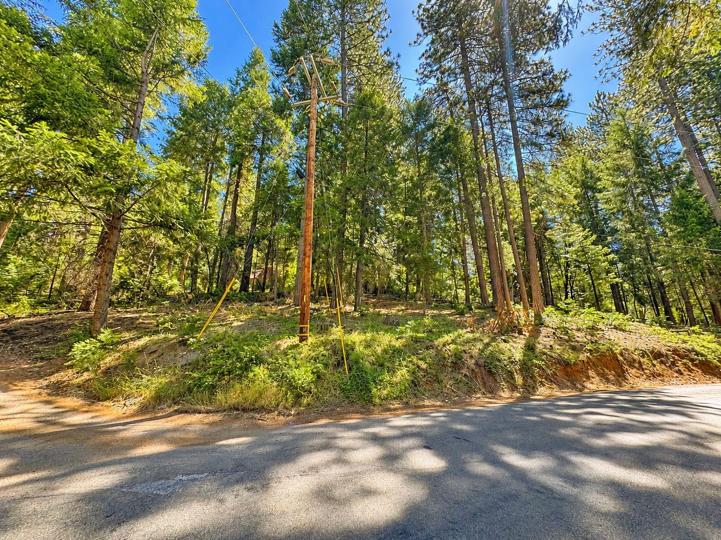 2221 Forebay Road Pollock Pines, CA 95726 - Photo 2 of 4