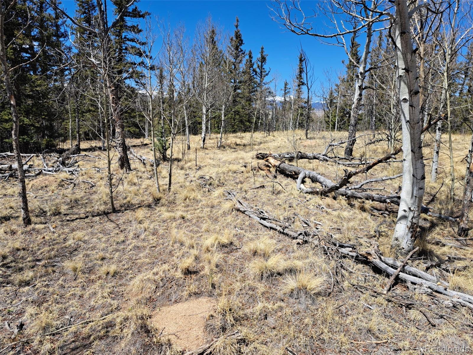 730 Tepee Trail Como, CO 80456 - Photo 24 of 29
