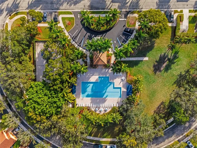 a picture of flowers