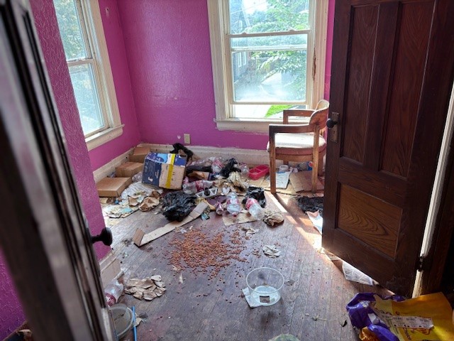 8 Velox Street Rochester, NY 14615 - Photo 25 of 47