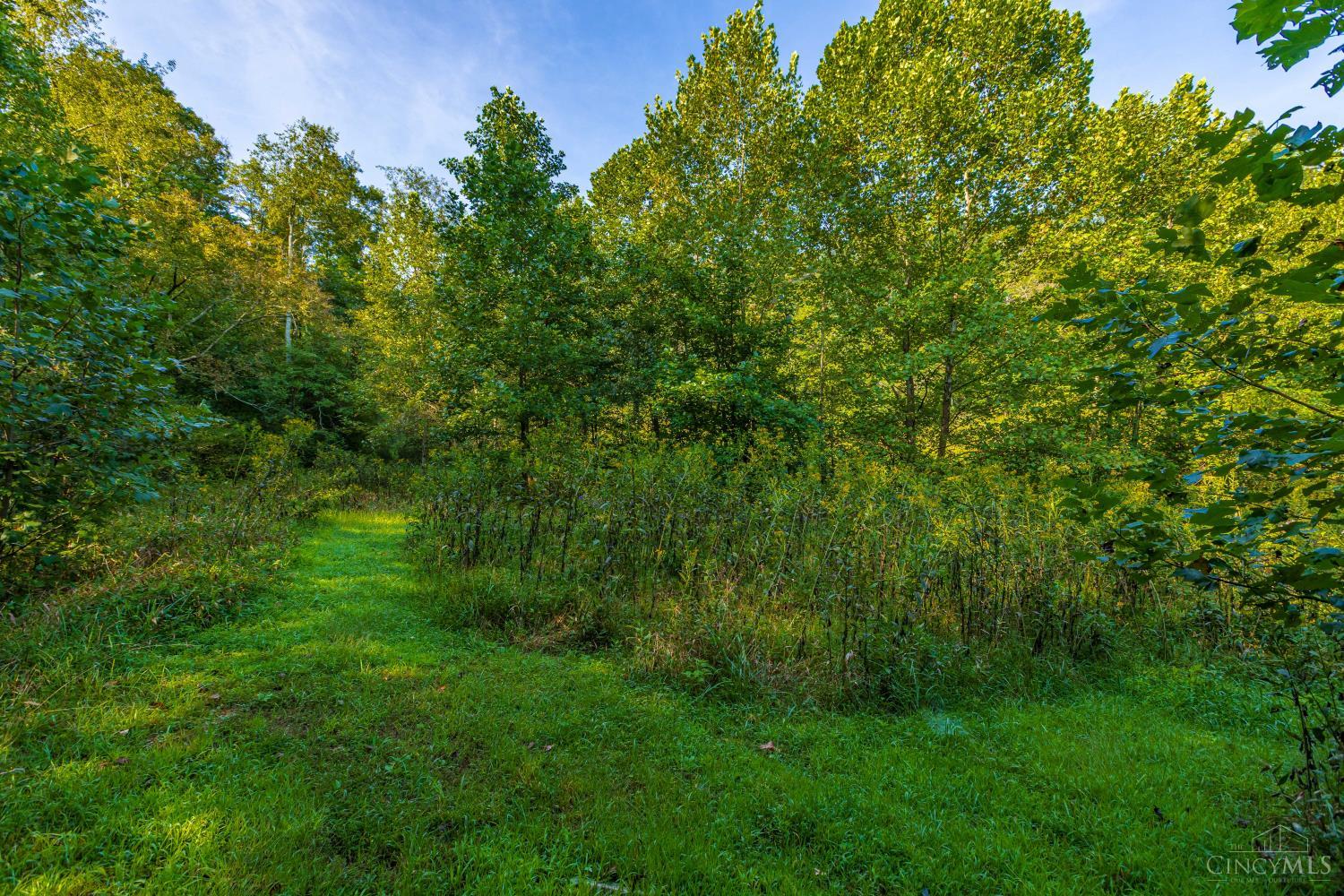 145 Tobe Lewis Road Lynx, OH 45650 - Photo 25 of 51 Gallery Image 25