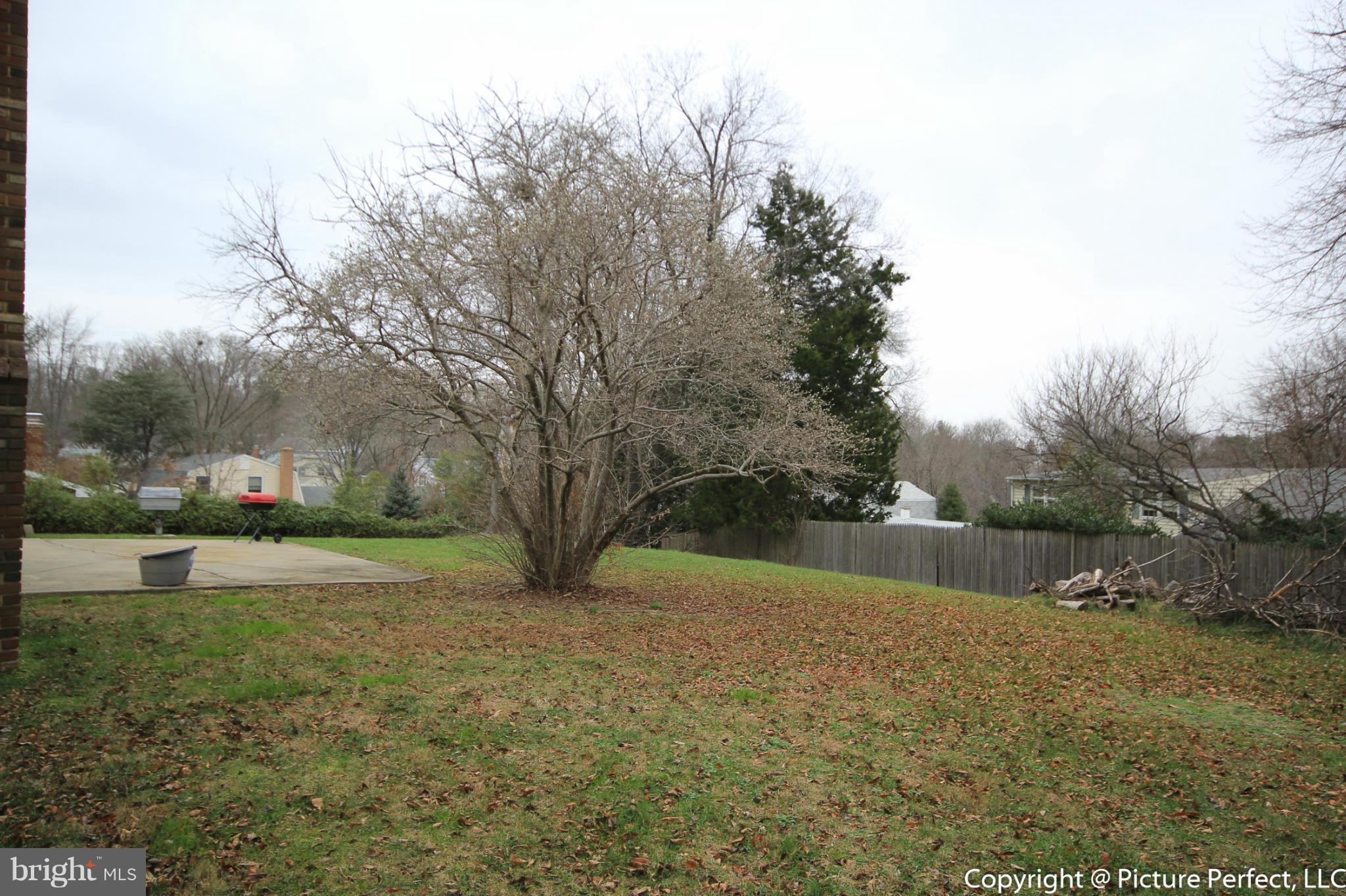 14113 Blazer Lane Silver Spring, MD 20906 - Photo 27 of 30 Exterior (Rear)