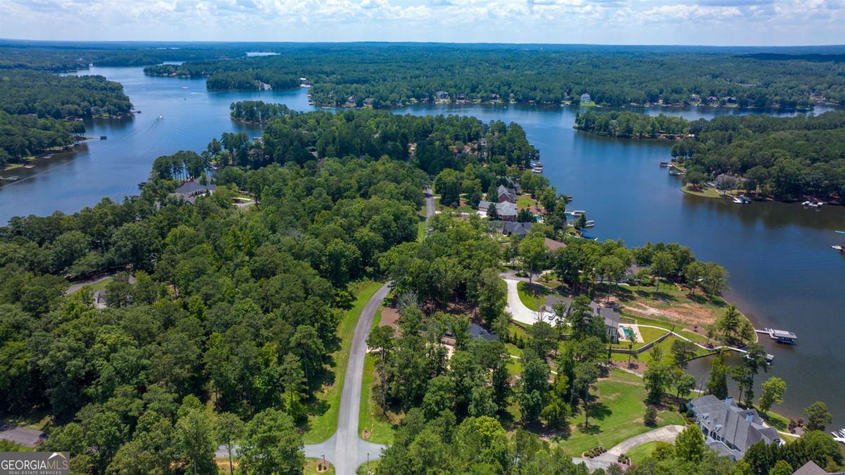 1311 Lighthouse Circle Greensboro, GA 30642 - Photo 12 of 26 an aerial view of city and lake view