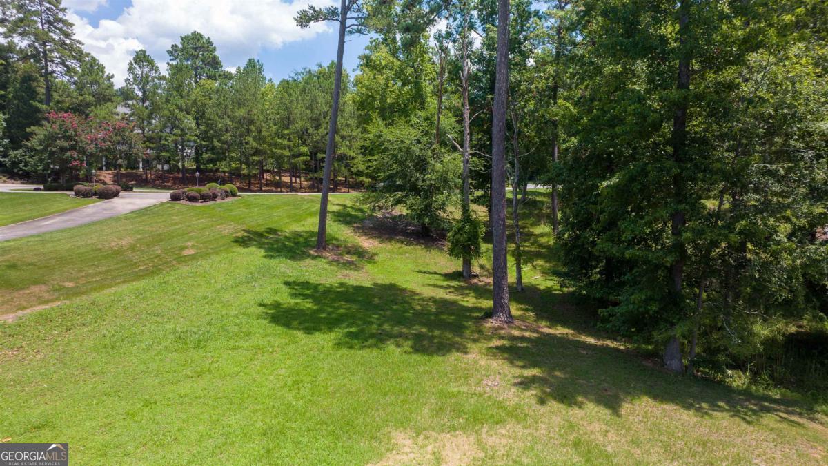 1311 Lighthouse Circle Greensboro, GA 30642 - Photo 16 of 26 a view of a park with large trees