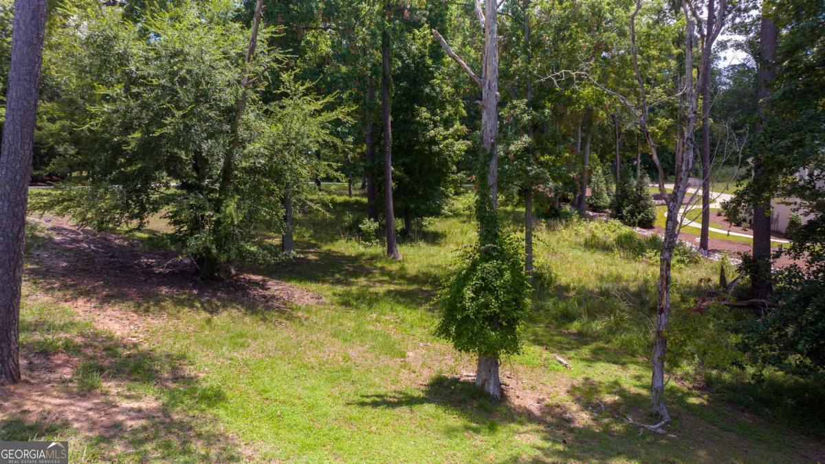 1311 Lighthouse Circle Greensboro, GA 30642 - Photo 17 of 26 a view of a yard