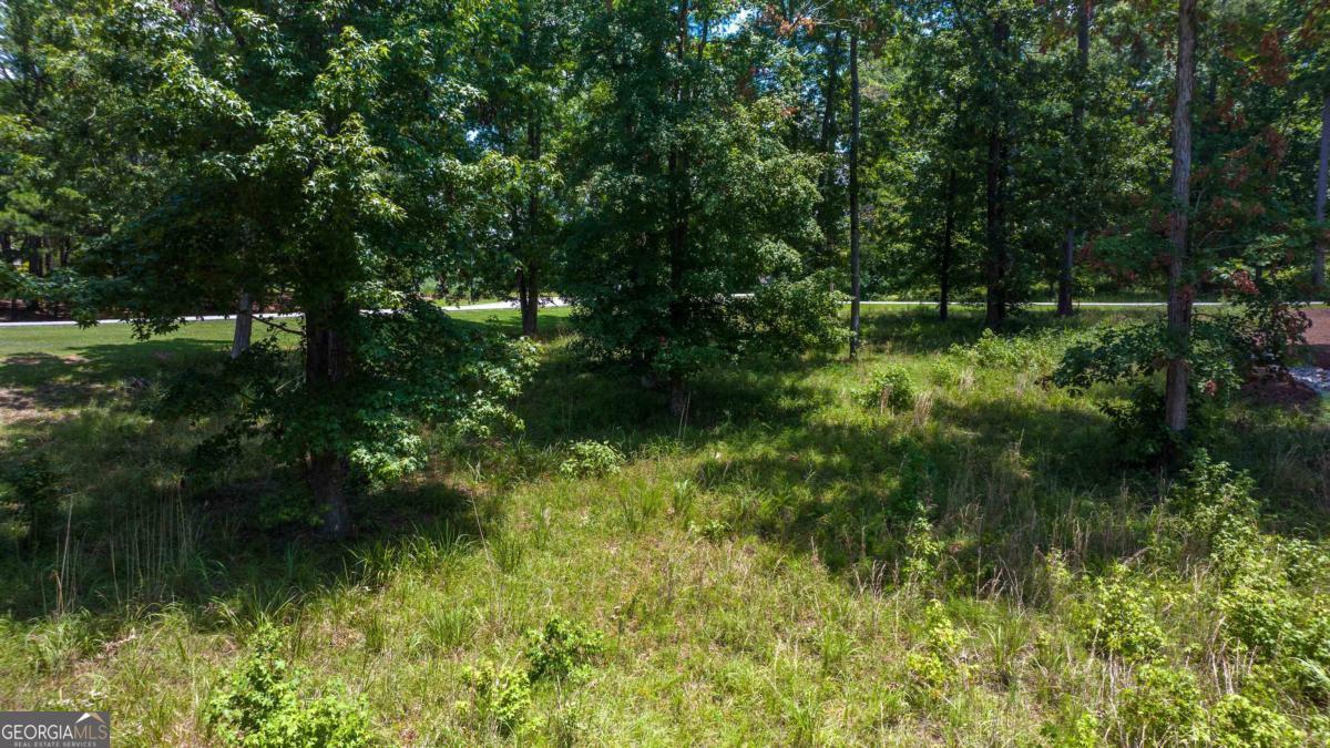 1311 Lighthouse Circle Greensboro, GA 30642 - Photo 18 of 26 a view of outdoor space and yard