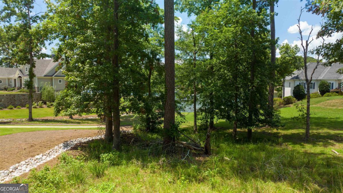 1311 Lighthouse Circle Greensboro, GA 30642 - Photo 19 of 26 a view of a yard with a tree