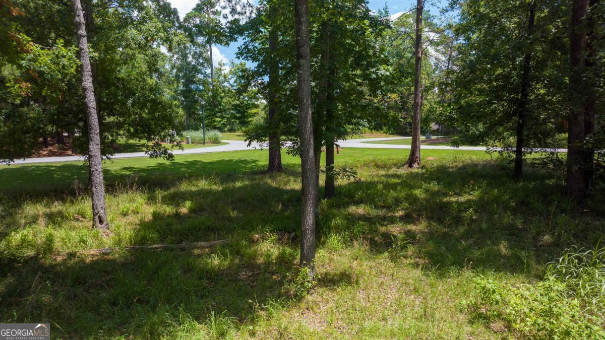 1311 Lighthouse Circle Greensboro, GA 30642 - Photo 20 of 26 a view of a garden with trees