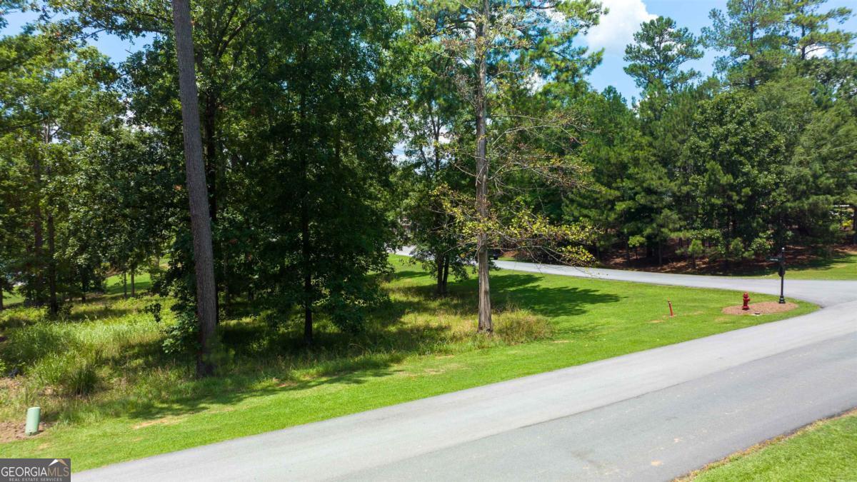 1311 Lighthouse Circle Greensboro, GA 30642 - Photo 21 of 26 a view of a park with large trees