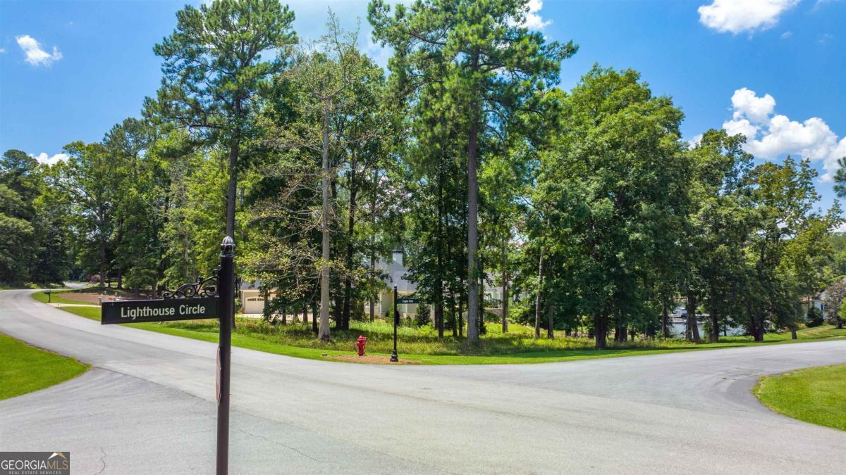 1311 Lighthouse Circle Greensboro, GA 30642 - Photo 23 of 26 a view of a park with large trees