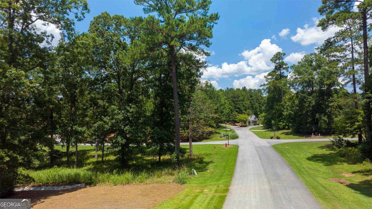 1311 Lighthouse Circle Greensboro, GA 30642 - Photo 24 of 26 a view of an outdoor space