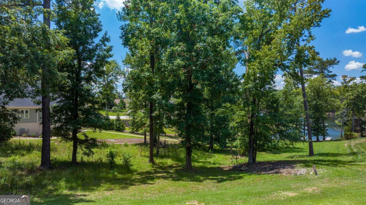 1311 Lighthouse Circle Greensboro, GA 30642 - Photo 10 of 26 a view of a park