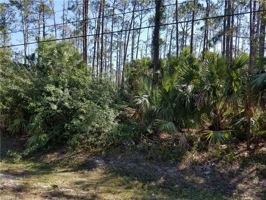 3rd Street Southwest Naples, FL 34117 - Photo 1 of 1 Gallery Image 1