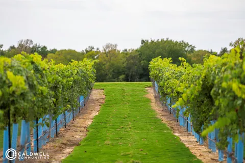 $325,000 | 14233 Juniper Breeze Court, Willis, TX 77318