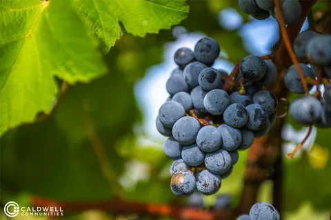 $325,000 | 14233 Juniper Breeze Court, Willis, TX 77318