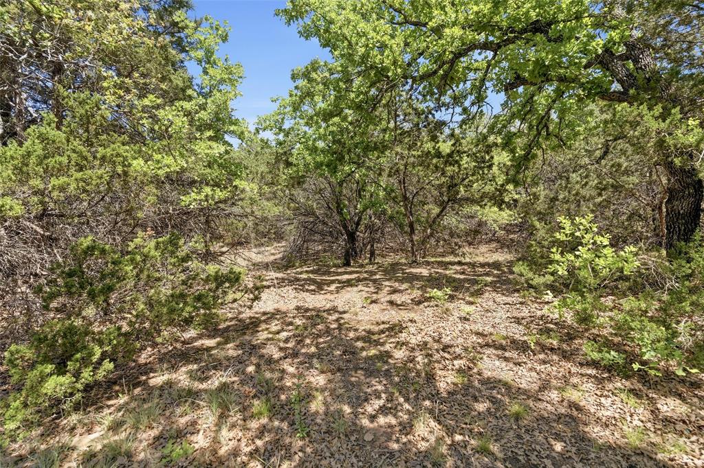 10537 East Lone Star Road, Unit 7 AC Weatherford, TX 76088 - Photo 34 of 36 Tons of Tails thru the property!