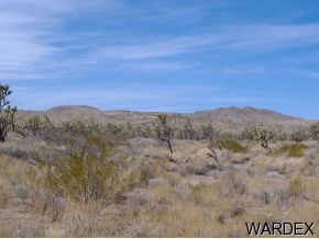 - North Wright Road Willow Beach, AZ 86445 - Photo 1 of 1 Primary Photo