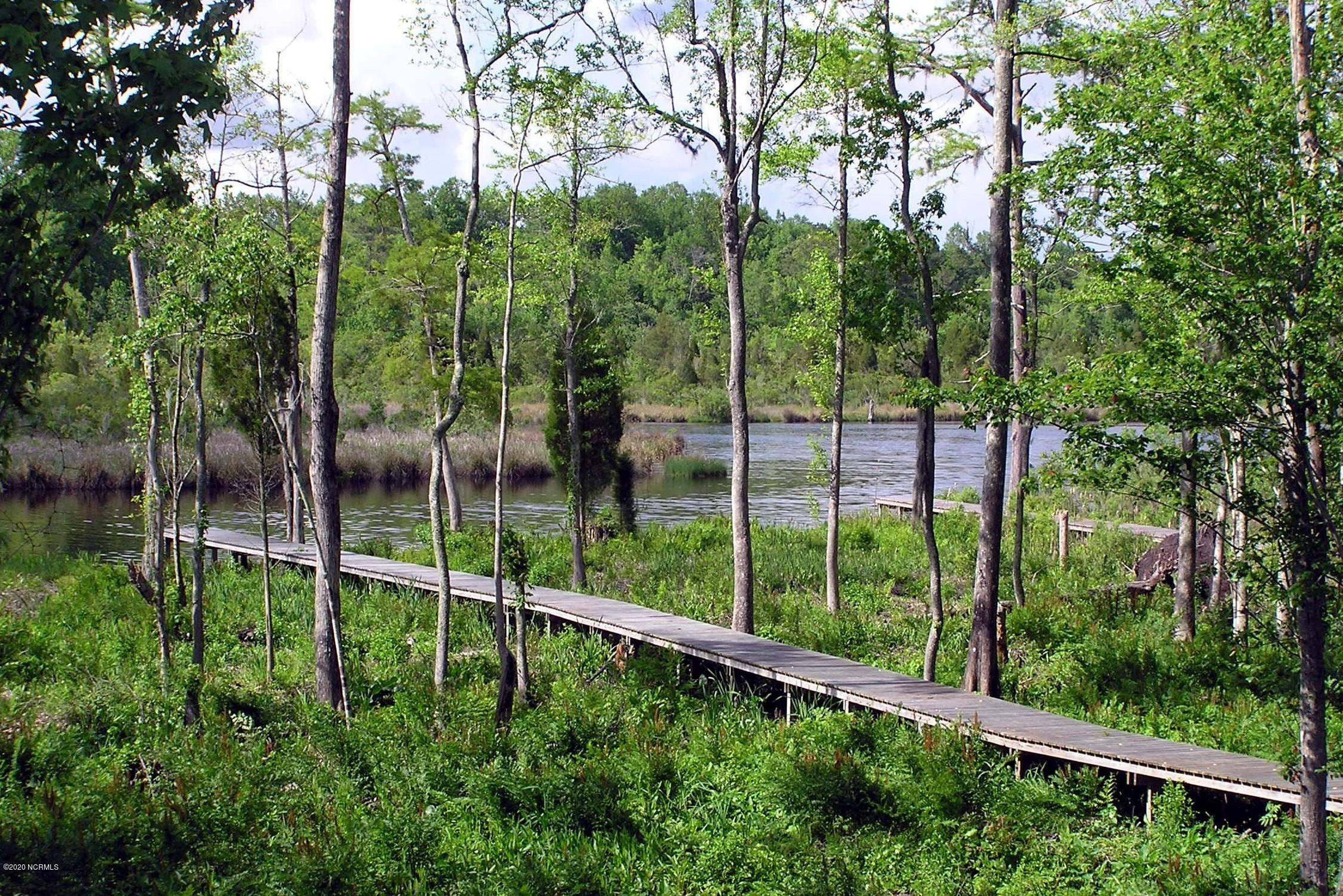 Lot 42 Treasure Point Road Bath, NC 27808 - Photo 6 of 13 Walkway
