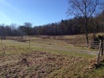 1775 Hall Road Clarkrange, TN 38553 - Photo 6 of 9 field #2