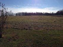 1775 Hall Road Clarkrange, TN 38553 - Photo 7 of 9 field