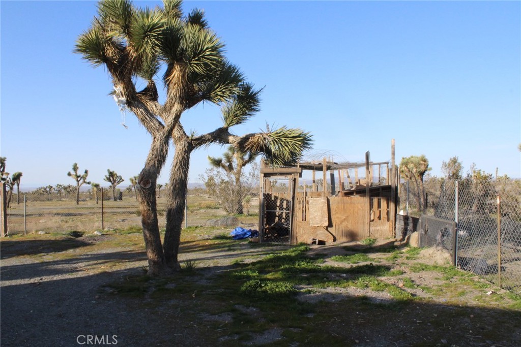 12543 Buckwheat Road Phelan, CA 92371 - Photo 19 of 37 a view of a backyard