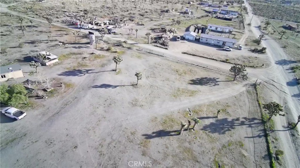 12543 Buckwheat Road Phelan, CA 92371 - Photo 24 of 37 a view of a dry field with lots of trees