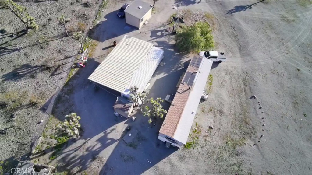 12543 Buckwheat Road Phelan, CA 92371 - Photo 29 of 37 a picture of a flower in a yard