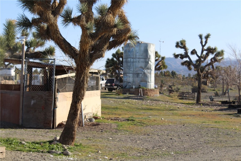 12543 Buckwheat Road Phelan, CA 92371 - Photo 5 of 37 a front view of a house with a yard