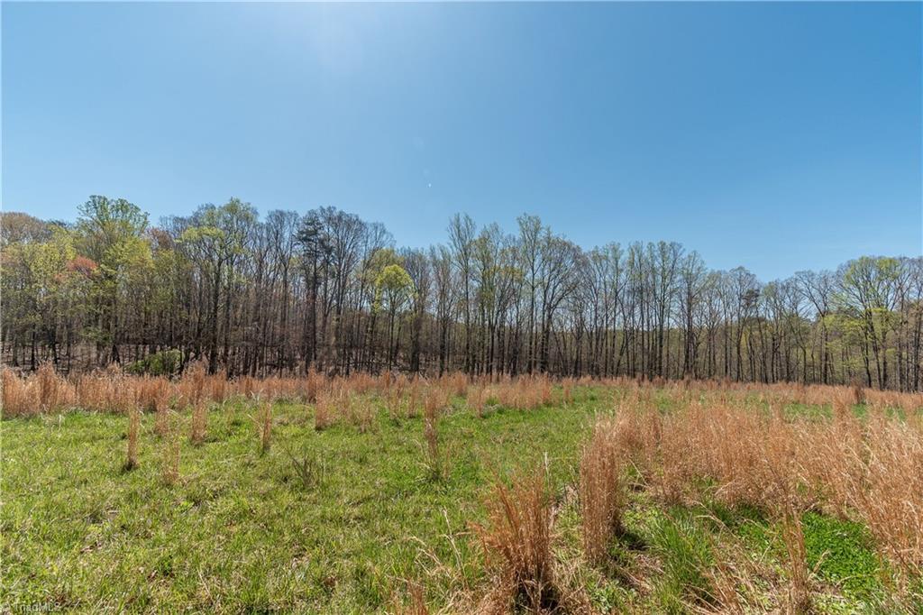 0 Mt Zion Road, Unit TRACT 10 Pinnacle, NC 27043 - Photo 1 of 17 Gallery Image 1
