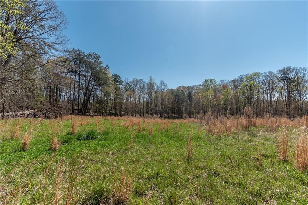 0 Mt Zion Road, Unit TRACT 10 Pinnacle, NC 27043 - Photo 14 of 17 Gallery Image 14
