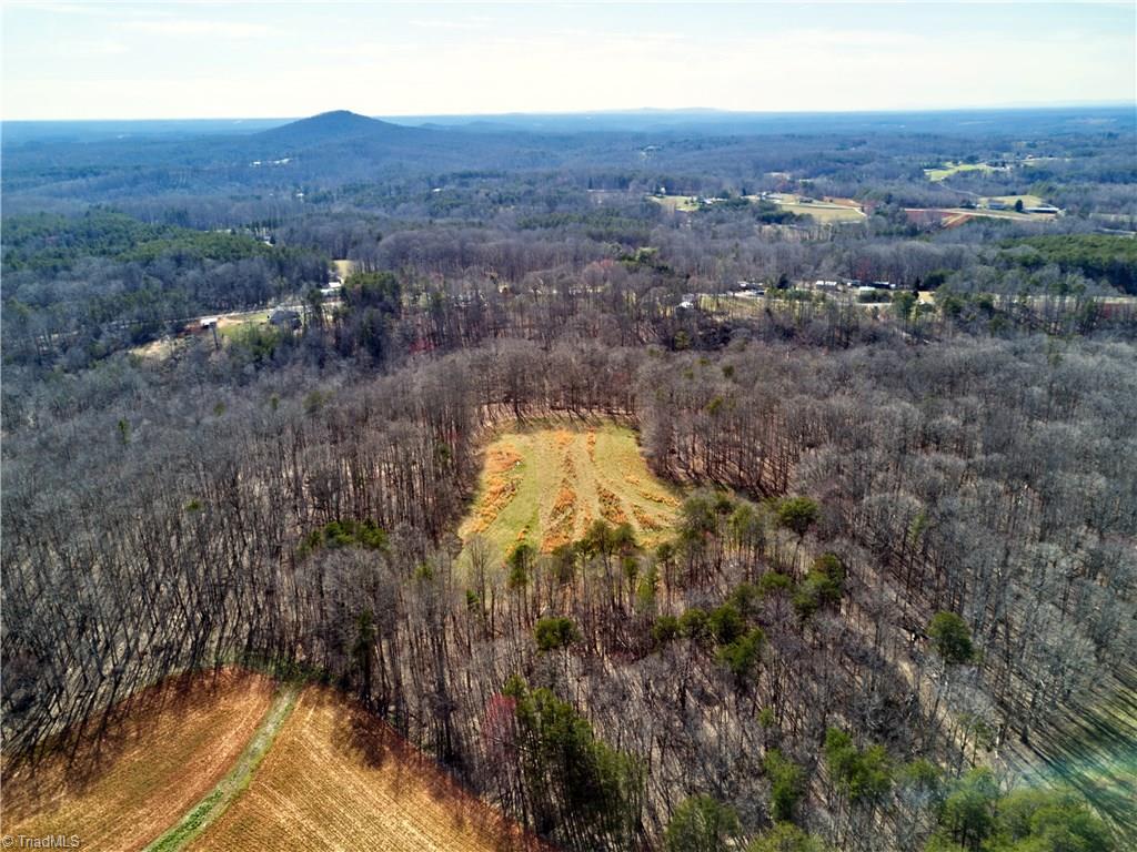 0 Mt Zion Road, Unit TRACT 10 Pinnacle, NC 27043 - Photo 3 of 17 Gallery Image 3