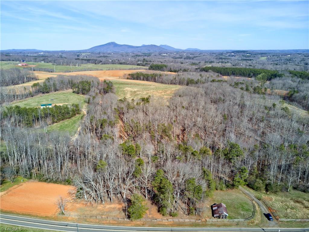 0 Mt Zion Road, Unit TRACT 10 Pinnacle, NC 27043 - Photo 4 of 17 Gallery Image 4