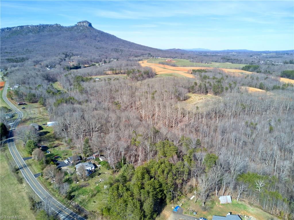 0 Mt Zion Road, Unit TRACT 10 Pinnacle, NC 27043 - Photo 5 of 17 Gallery Image 5