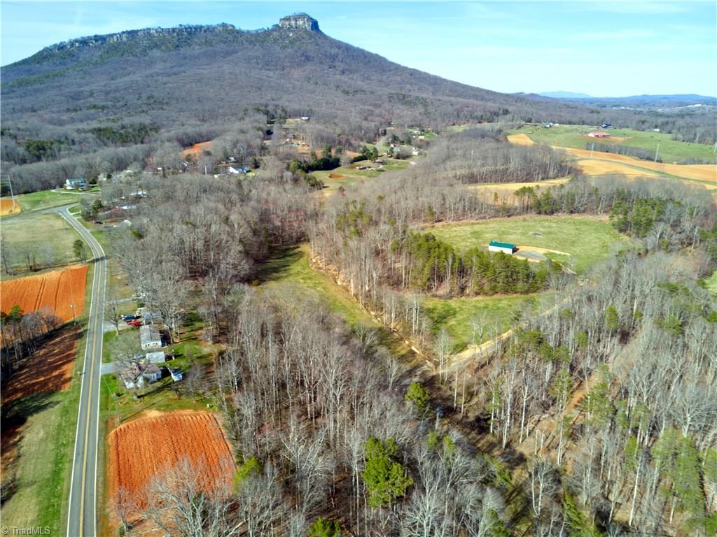 0 Mt Zion Road, Unit TRACT 10 Pinnacle, NC 27043 - Photo 6 of 17 Gallery Image 6