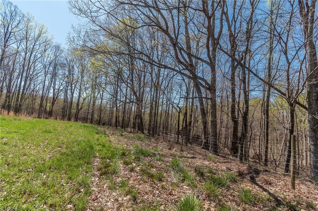 0 Mt Zion Road, Unit TRACT 10 Pinnacle, NC 27043 - Photo 7 of 17 Gallery Image 7