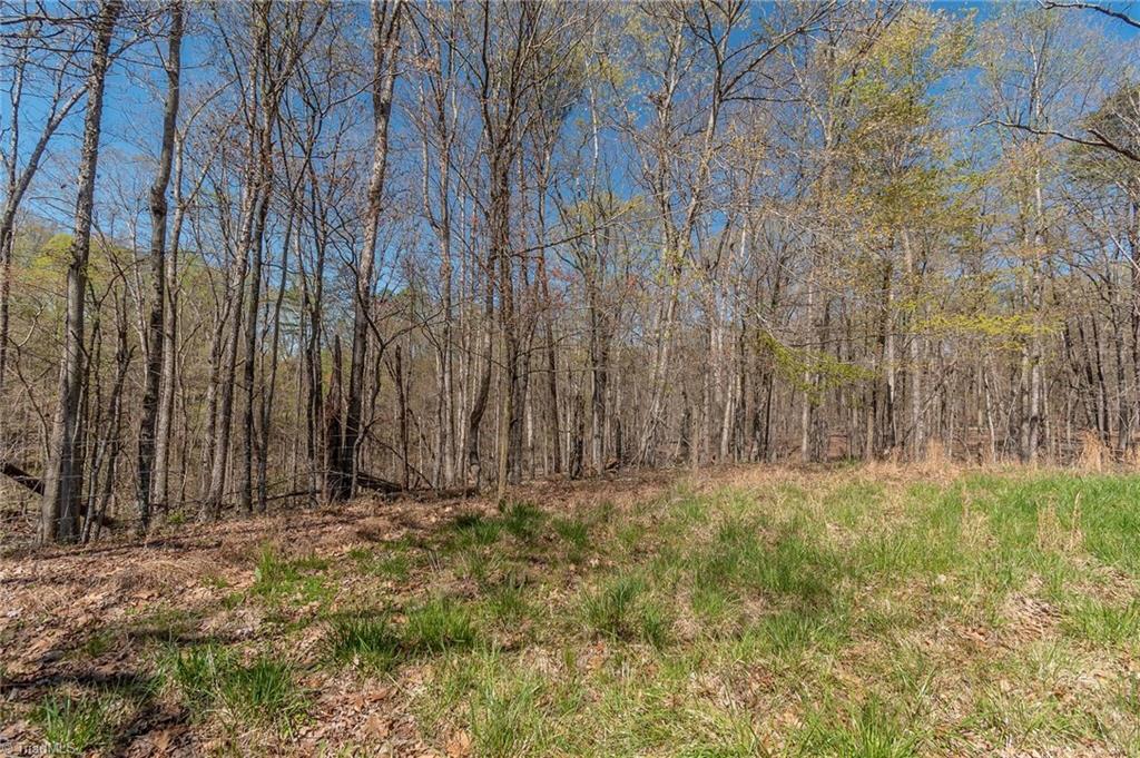 0 Mt Zion Road, Unit TRACT 10 Pinnacle, NC 27043 - Photo 8 of 17 Gallery Image 8