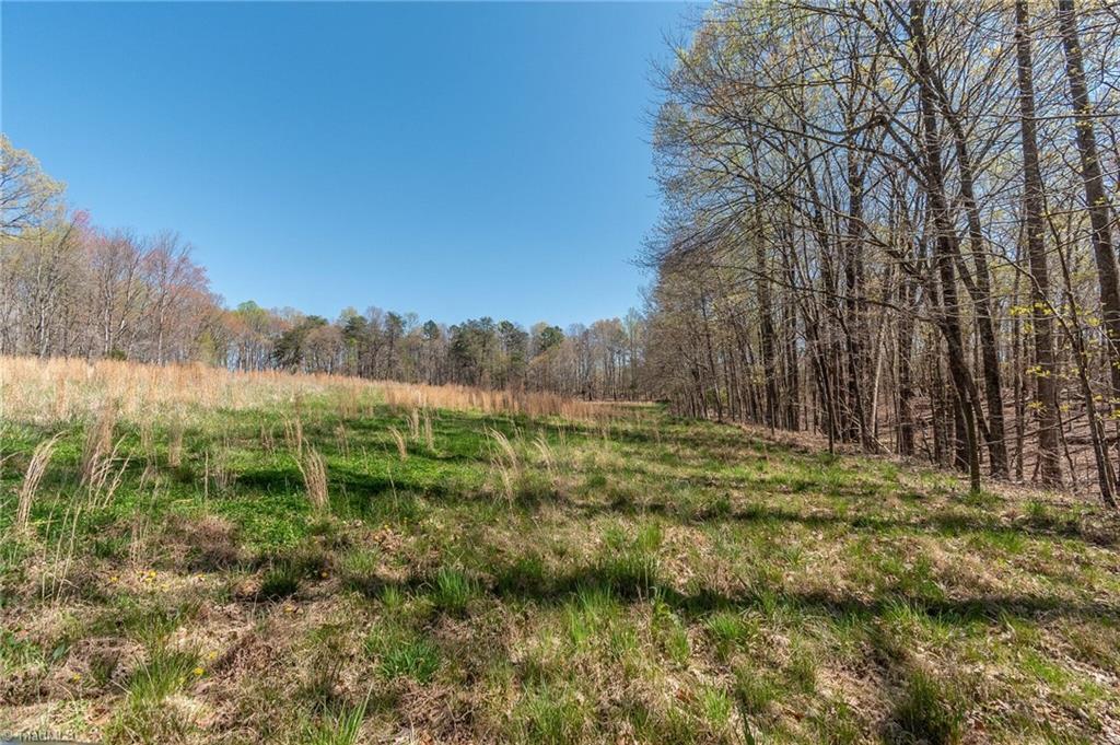 0 Mt Zion Road, Unit TRACT 10 Pinnacle, NC 27043 - Photo 10 of 17 Gallery Image 10