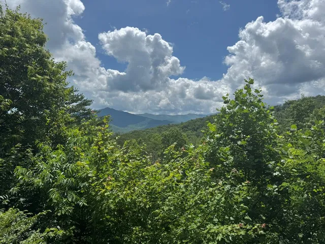 $529,000 | 6124 Stone Mill Drive, Young Harris, GA 30582